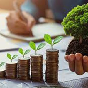 Green Banking Initiatives in Uganda – Sustainability in Finance Learn how banks in Uganda are funding eco-friendly projects